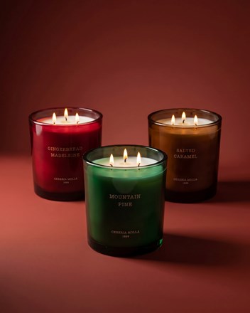 3-wick-(1).jpg