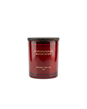 Gingerbread Madeleine - Classic Candle - 8 OZ