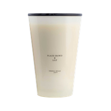 Black Orchid & Lily - 7 wick 3XL Candle - 15.4 LB