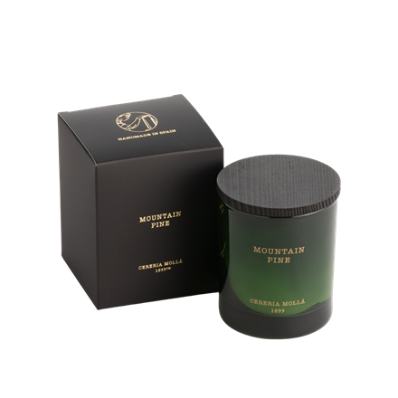 Mountain Pine - Classic Candle - 8 OZ XM230MP