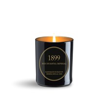 Gold Edition Candle 8oz Bois de Santal Imperial 6650