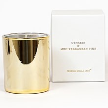 Cypress & Mediterranean Pine - 8 OZ Candle PVMUSACYME